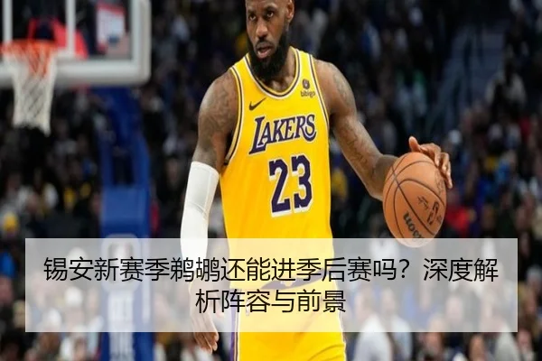 锡安新赛季鹈鹕还能进季后赛吗？深度解析阵容与前景