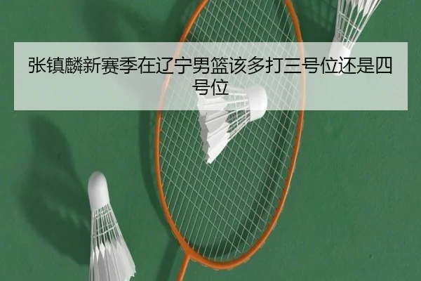张镇麟新赛季在辽宁男篮该多打三号位还是四号位