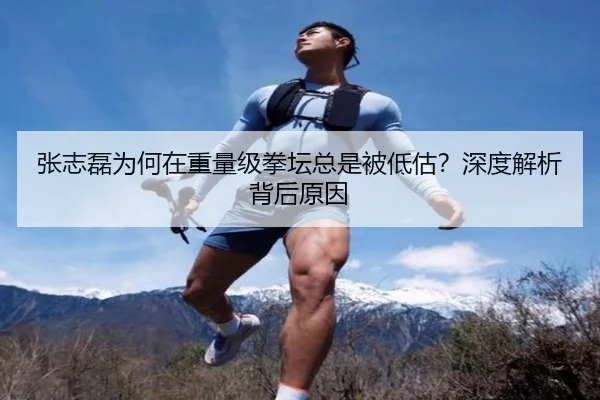 张志磊为何在重量级拳坛总是被低估？深度解析背后原因